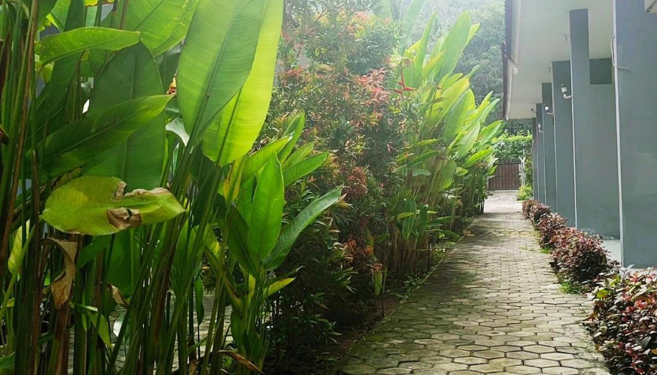 Oyo 2864 Mangsit Garden Homestay Εξωτερικό φωτογραφία